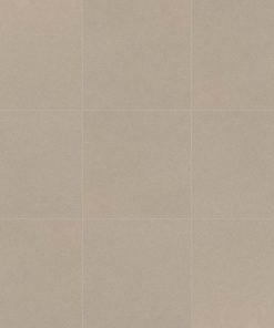 Porc Natural Fossil Luc 60X60